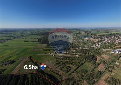 działka na sprzedaż 65000m2 działka Kaliś