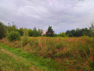 działka na sprzedaż 8765m2 działka Budy Zosine, Generała Skokowskiego
