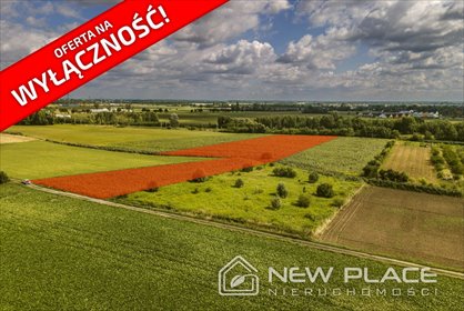 Na sprzedaż działki przemysłowe 11 779 m² w Kamieńcu Wrocławskim działka Kamieniec Wrocławski, Festynowa