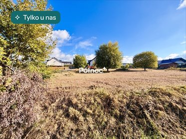 Działka z widokiem na Śnieżkę, uzbrojona - polecam! działka Jeżów Sudecki, Zielna