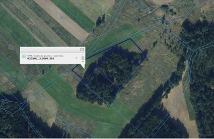 działka na sprzedaż 3000m2 działka Myślinów, Myślinów