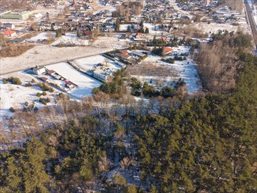 Przestronna działka 4000 m² w Solcu Kujawskim – prywatność i komfort działka Solec Kujawski, Kujawska