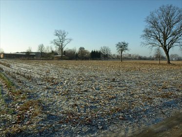 Działka budowlana na sprzedaż Liszkowice 8 000m2 Foto 1