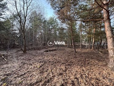 Działka 1020 m² z mediami, las i spokojna okolica działka Musuły