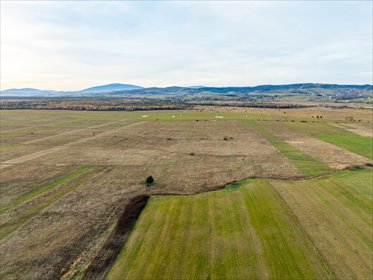 Działki rolne z potencjałem inwestycyjnym 5345 m² działka Nowotarski, Ojca Świętego Jana Pawła II