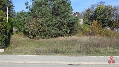 działka na sprzedaż 1181m2 działka Sobolewo