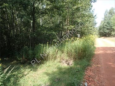 Działka rolna na sprzedaż Osęczyzna 2 200m2 Foto 6