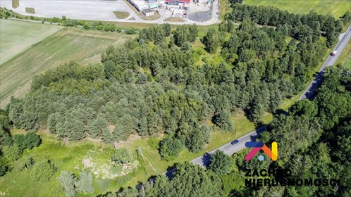 Działka pod inwestycję 37 400 m² z warunkami zabudowy działka Sękowice