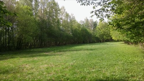 Działka rolna na sprzedaż Czmoń 30 300m2 Foto 2