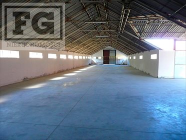 lokal użytkowy na wynajem 351m2 lokal użytkowy Juszkowo, Cisowa