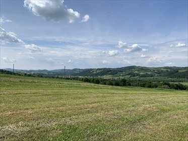 Działka budowlana na sprzedaż Żbikowice 1 226m2 Foto 2