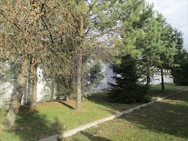 Magazyn na sprzedaż Złotoryja 896m2 Foto 3