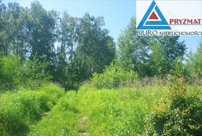 Działka budowlana na sprzedaż Mokiny 1 545m2 Foto 1