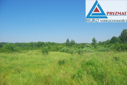 Działka budowlana na sprzedaż Mokiny 1 545m2 Foto 5