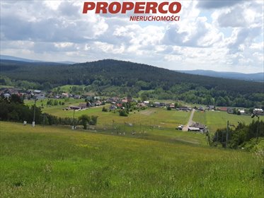 działka na sprzedaż 37502m2 działka Daleszyce, Niestachów