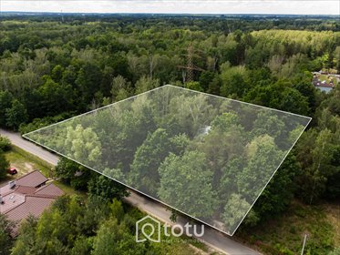 Działka 7600 m² z domem, świetna lokalizacja! działka Złotokłos
