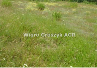 działka na sprzedaż 1400m2 działka Sowia Wola
