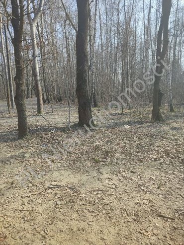 działka na sprzedaż 3717m2 działka Milanówek