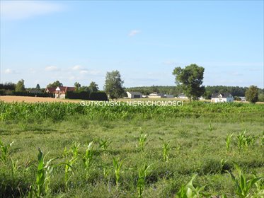 działka na sprzedaż 4700m2 działka Tynwałd