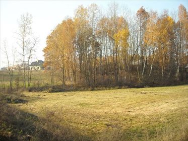 działka na sprzedaż 14800m2 działka Ruda-Bugaj