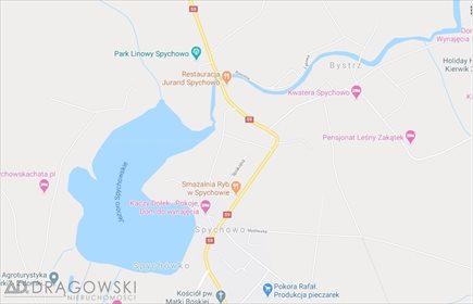 działka na sprzedaż 41410m2 działka Spychowo