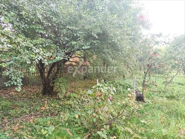 Dom na sprzedaż Zawichost, Świętokrzyska 160m2 Foto 5