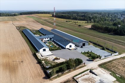 magazyn na sprzedaż 4980m2 magazyn Pniewo, Polna