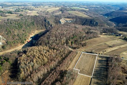 Polecam działkę 4,59 ha przy Ojcowskim Parku Narodowym działka Biały Kościół