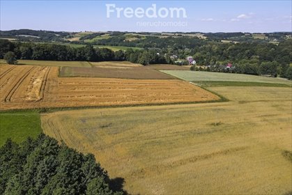 działka na sprzedaż 5972m2 działka Brzeziny