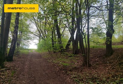 działka na sprzedaż 10840m2 działka Rybnik, Czecha