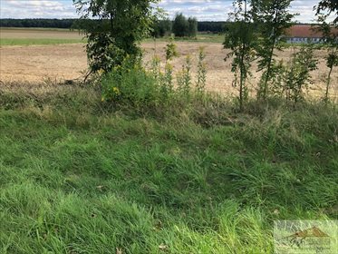 Działka rolna na sprzedaż Kowalówka 2 800m2 Foto 6