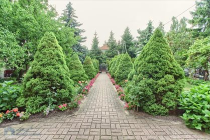 Lokal użytkowy na sprzedaż Warszawa, Wawer, Marysin Wawerski, Akwarelowa 181m2 Foto 3
