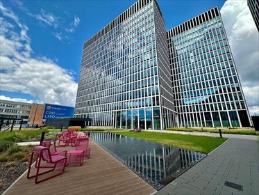 lokal użytkowy na wynajem 220m2 lokal użytkowy Katowice, Śródmieście, Żelazna