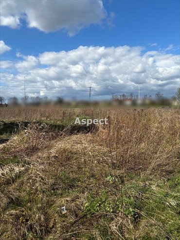 Działka inwestycyjna na sprzedaż Pawłowice 880m2 Foto 1