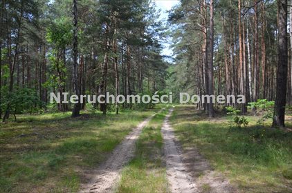 Działka leśna na sprzedaż Poświętne 11 400m2 Foto 3