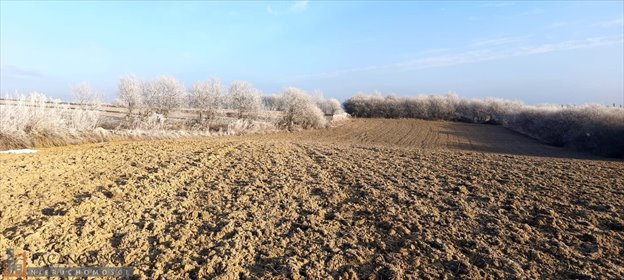 działka na sprzedaż 9520m2 działka Skała