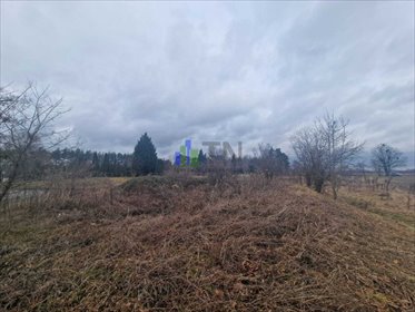 działka na sprzedaż 5300m2 działka Ratowice