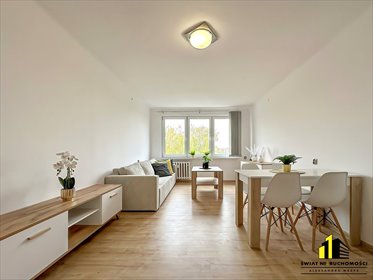 mieszkanie na wynajem 40m2 mieszkanie Cieszyn