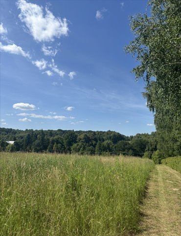 działka na sprzedaż 9000m2 działka Czułów