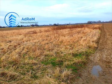 działka na sprzedaż 11000m2 działka Łęg