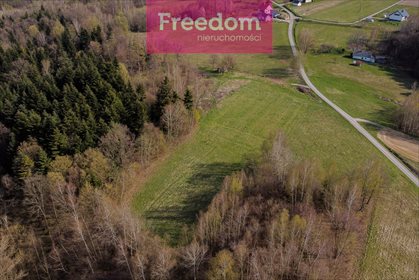 Działka inna na sprzedaż Meszna Opacka 9 075m2 Foto 3