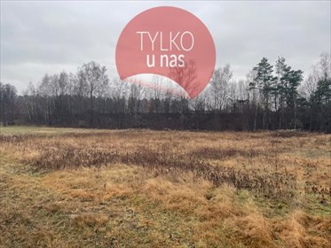 działka na sprzedaż 23700m2 działka Dręszew