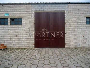 Lokal użytkowy na wynajem Piątek 1 000m2 Foto 3