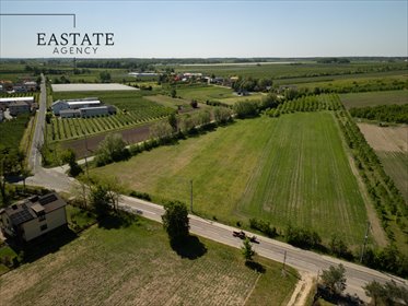 Działka 1000 m² w Wincentowie – las, spokój, komfort działka Wincentów