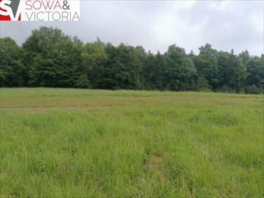 działka na sprzedaż 2016m2 działka Głuszyca