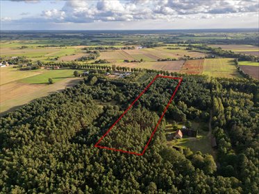 Działka 22 800 m² z decyzją o zabudowie (Jędrzejewo) działka Jędrzejewo