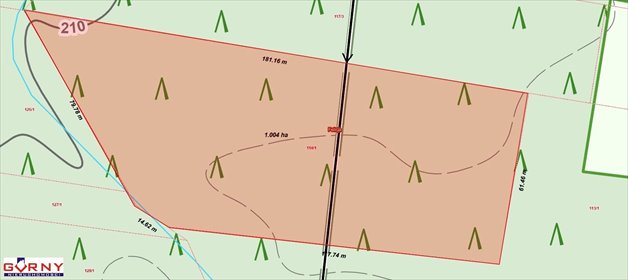 działka na sprzedaż 26700m2 działka Felicja