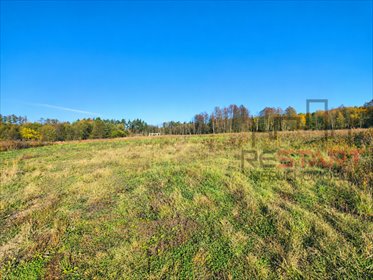 działka na sprzedaż 1501m2 działka Zboiska
