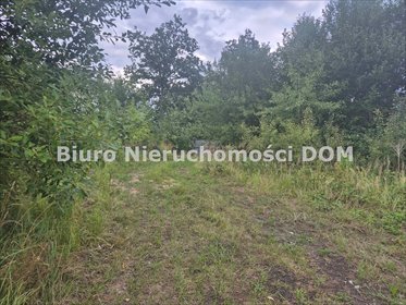 działka na sprzedaż 1003m2 działka Brzeziny-Kolonia