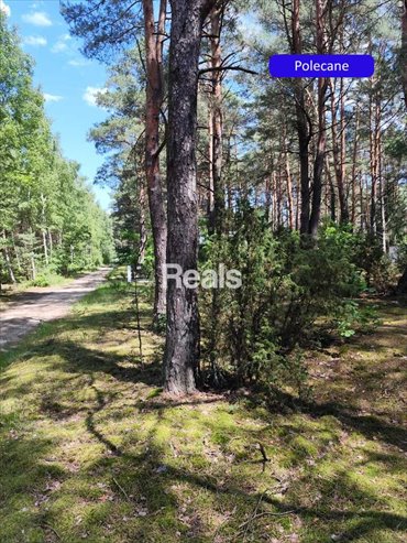 działka na sprzedaż 1402m2 działka Chełsty